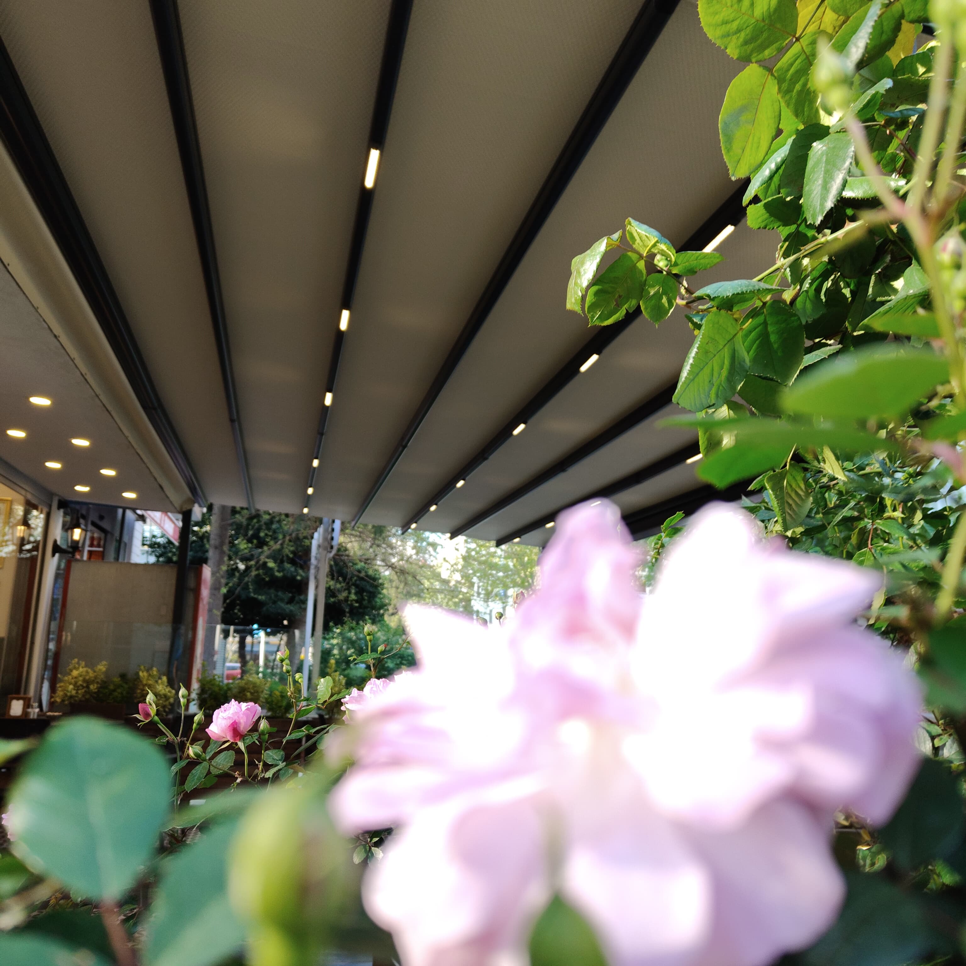 Askılı Pergola Projesi - Kadıköy Bostancı